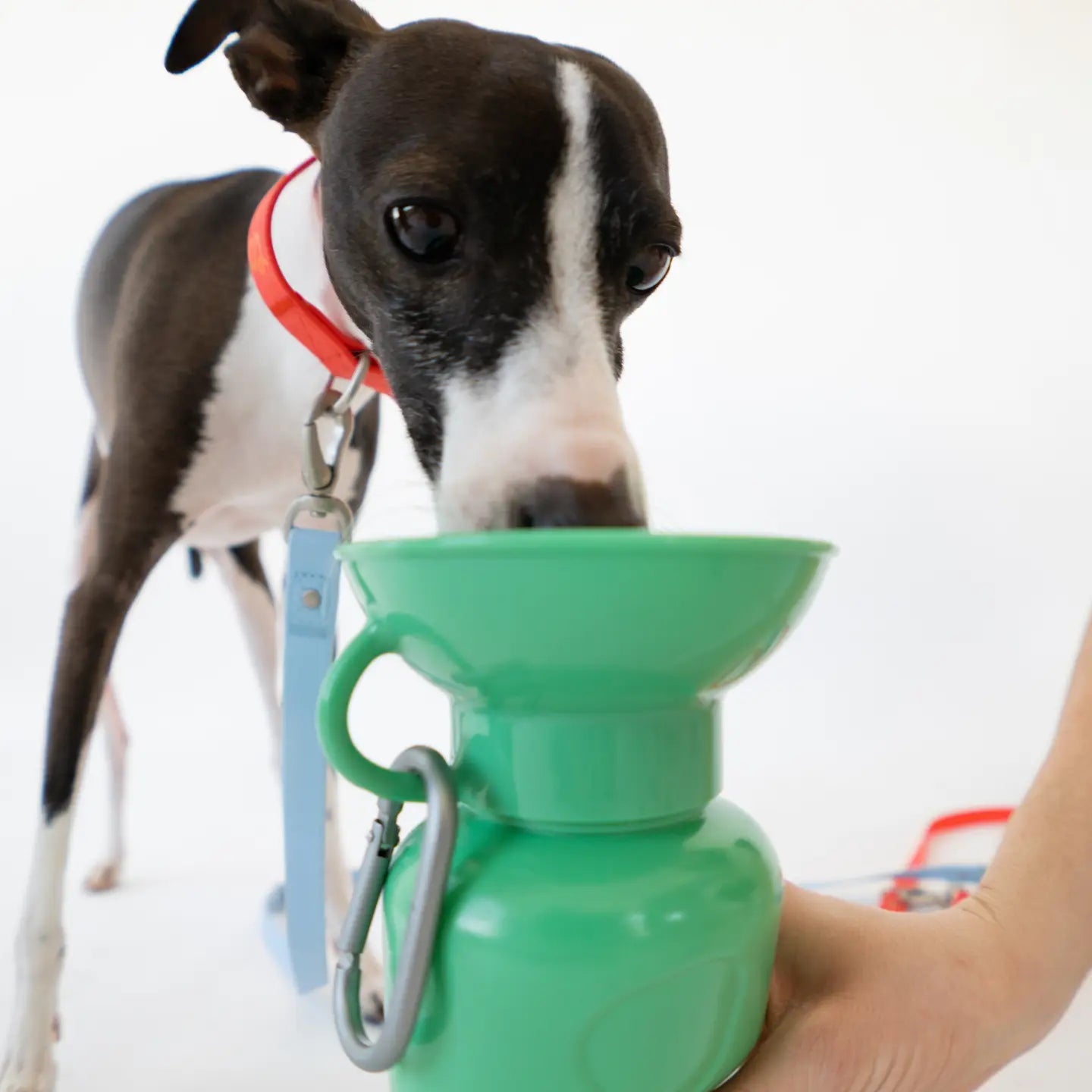 GOURDE DE VOYAGE - Vert