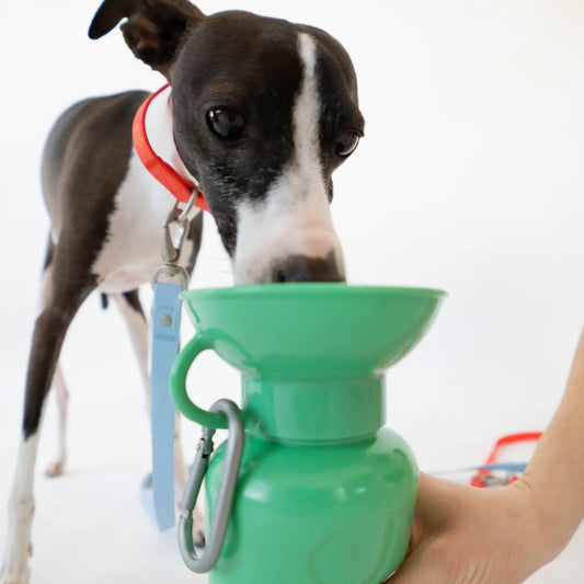 GOURDE DE VOYAGE - Vert