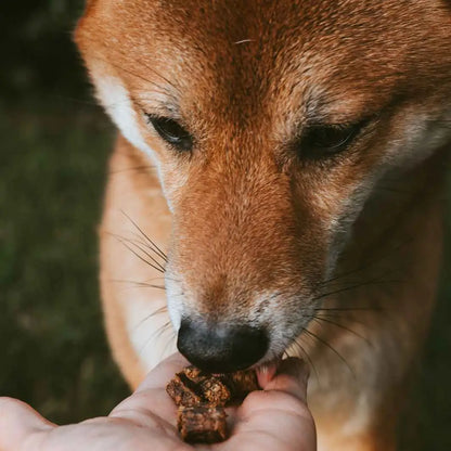 FRIANDISES 100% NATURELLES - Boeuf