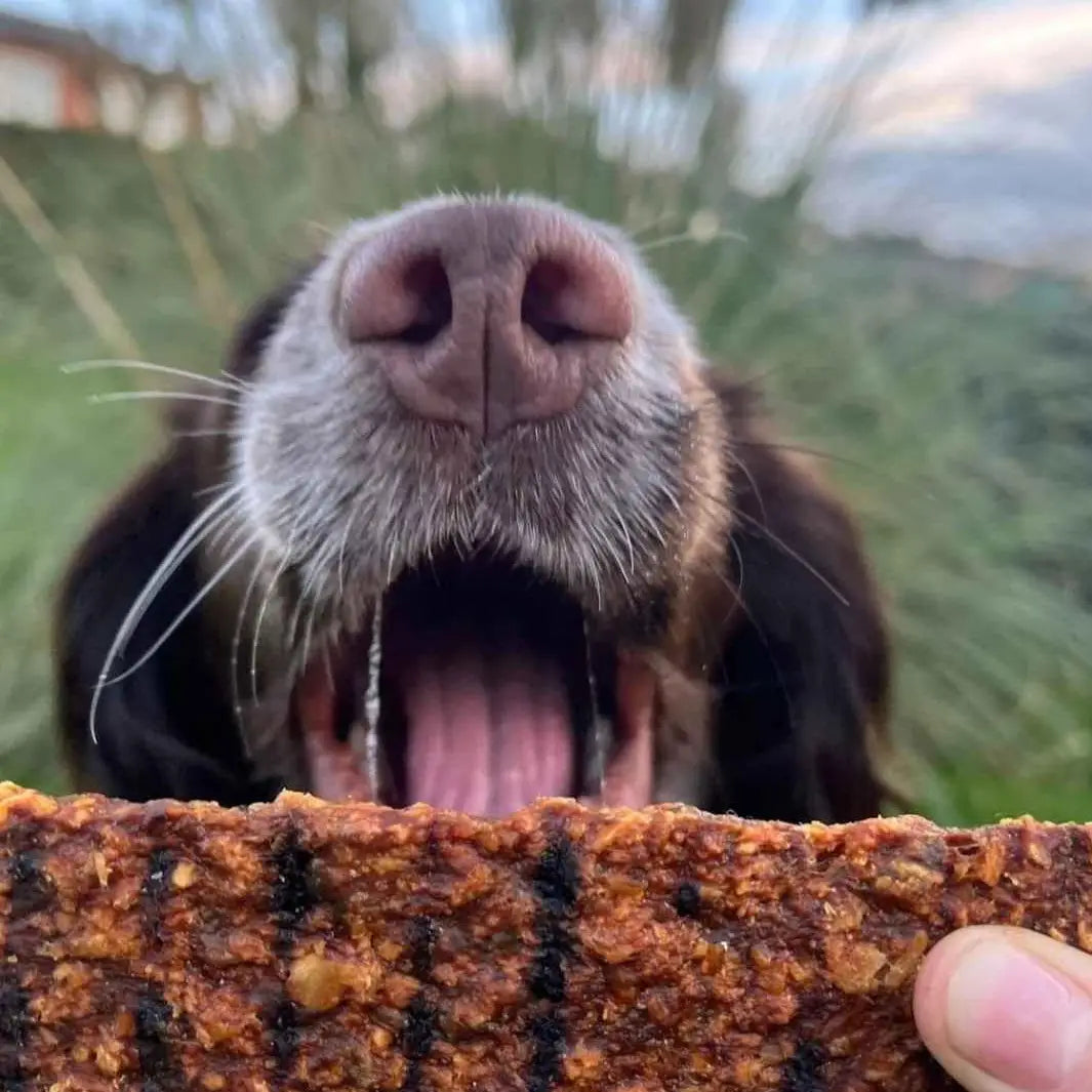 LAMELLES 100% NATURELLES - Oie