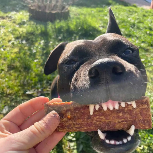 LAMELLES 100% NATURELLES - Dinde