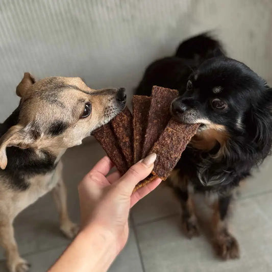 LAMELLES 100% NATURELLES - Sanglier