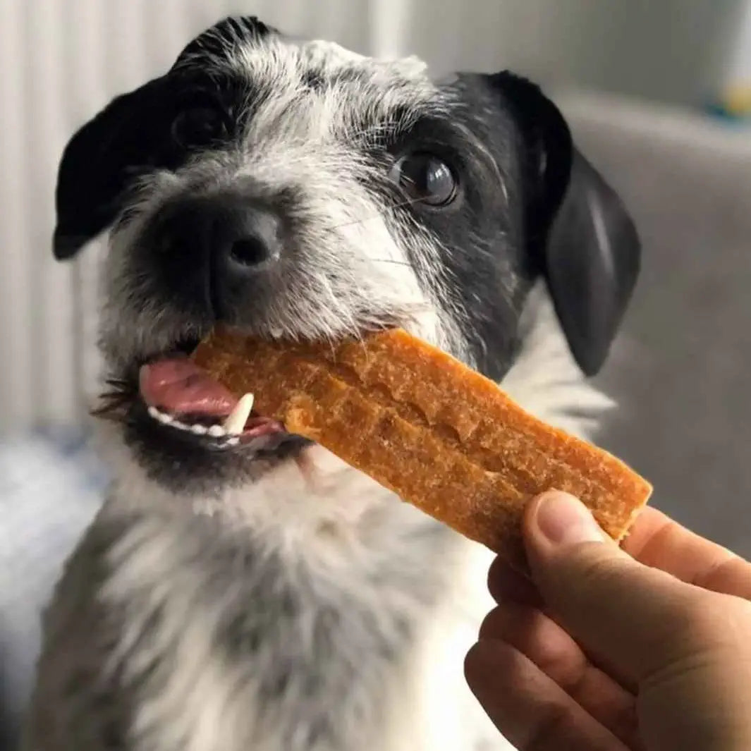 LAMELLES 100% NATURELLES - Dinde