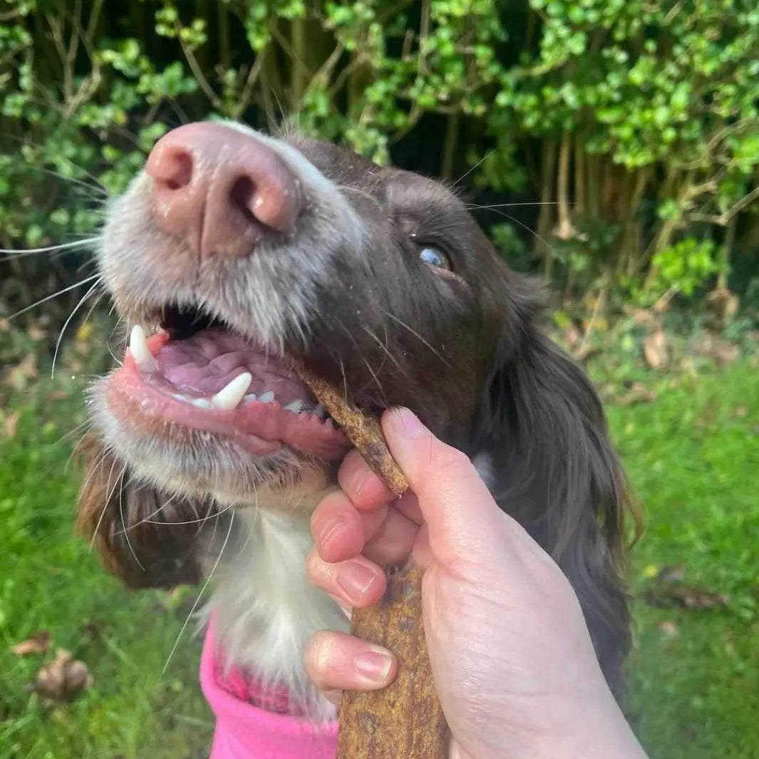 LAMELLES 100% NATURELLES - Oie