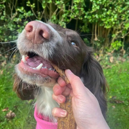 LAMELLES 100% NATURELLES - Oie