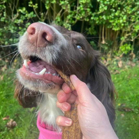 LAMELLES 100% NATURELLES - Oie