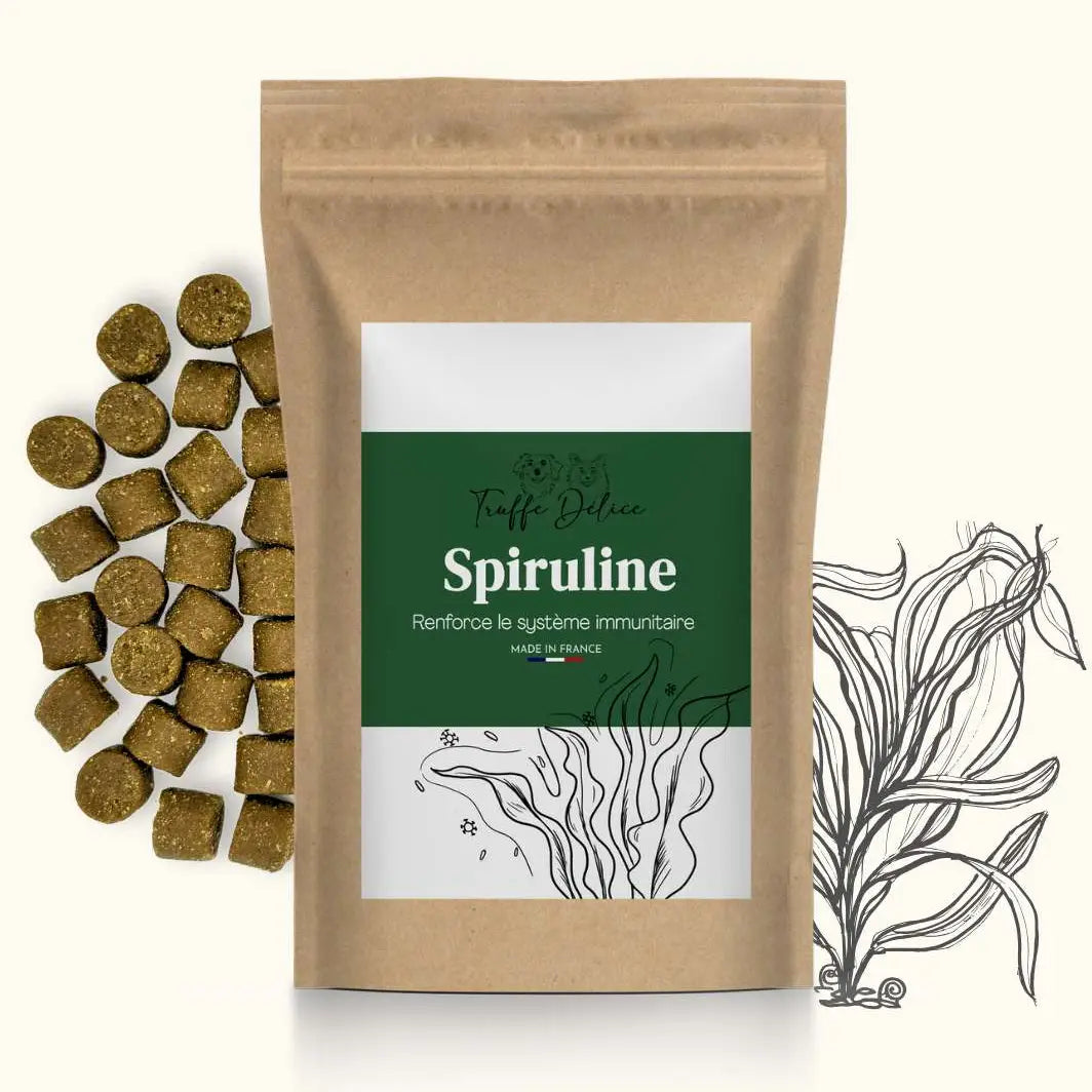 COMPLÉMENTS ALIMENTAIRES - Spiruline