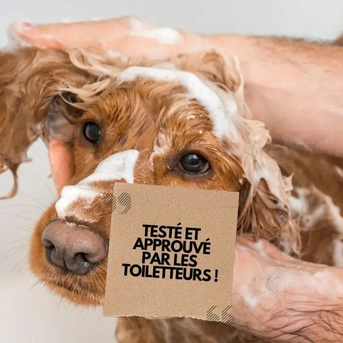 SHAMPOING - Hypoallergénique 250 ml