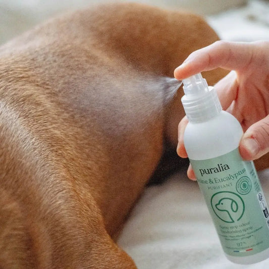 SPRAY - Stop odeur 150 ml