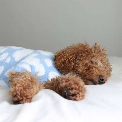 PULL POUR CHIENS ET CHATS - Nuage bleu