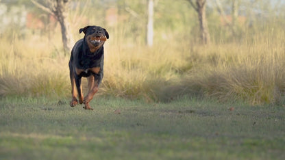 JOUET RÉSINE ORGANIQUE - Teether clean