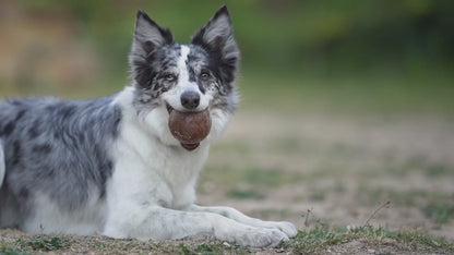JOUET RÉSINE ORGANIQUE - Strong ball L
